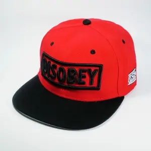 Винтажная фирменная кепка бейсболка DisOBEY BITCH PLEASE